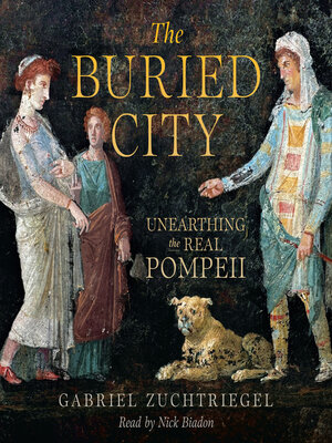 cover image of The Buried City